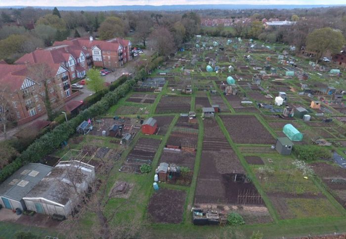 Aerial view of allotments